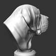 08.png Spanish Mastiff Head AM30 3D print model