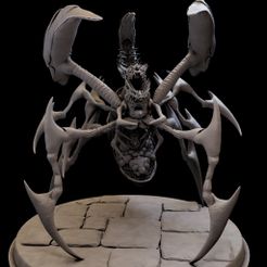 003.jpg Spider Quin