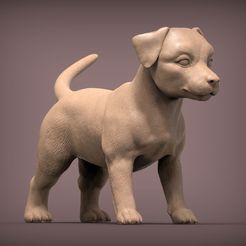jack-russell-puppy-3d-model-56d931a816.jpg Файл 3D Jack russell puppy 3D print model・Модель для загрузки и печати в формате 3D