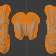 8.png 3D Model of Brain with Cerebellum and Brain Stem