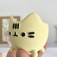 IMG_4231-conv.jpeg Pusheen Kitten Planter - Easy Print