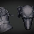 weimaraner-grey-3.jpg Weimaraner Dog Anatomy