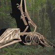 01.jpg Eudimorphodon: Complete 3D anatomy