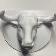 IMG_5676_1.jpg Bullhead Bull Taurus