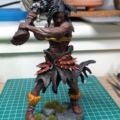 TINA L'AMAZONE - ENSEMBLE D'ARMURES DE LA FAMINE