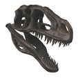 02.jpg Acrocanthosaurus