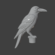 Screenshot-2025-06-22-201225.png Crow Cane Handle
