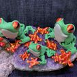 Aschenfrosch, Artikulierender Frosch, Laubfrosch, Dartfrosch, Cinderwing3D, Artikulierender flexibler Fidget Niedlicher Druck an Ort und Stelle Keine Stützen