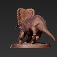 torosaurus-triceratops-drusus-3.jpg Drusus Solo- Torosaurus Triceratops Dinosaur Ceratopsian
