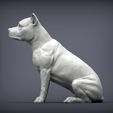 American-Staffordshire-Terrier2.jpg American Staffordshire Terrier 3D print model