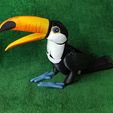 IMG_20240127_152955190_MP.jpg Toucan  Articulated Figure