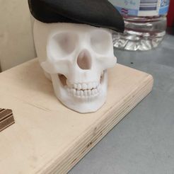 Image.jpg Skull with beret heavy forces.