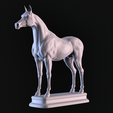 04.png Arabian Horse