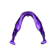 brain - STLMandible.stl 3D Model of Skull and Brain with Brain Stem