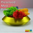 1.jpg Decorative Bowl for Preserved Moss