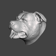 2021-04-27-22_39_10-Window.png DOG HEAD STAFFORSHIRE BULL TERRIER STAFFY PITBULL DOG .obj .stl