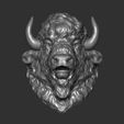 22.jpg Bison angry head