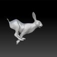 rabbit_running.jpg rabbit running - realistic rabbit