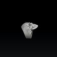 sadasdasdasdad.jpg Modelo de impresión 3D Skull Ring Version 2