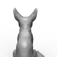 untitled.85.png Fennec fox