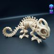 img_Chemeleon_009.jpg SKELETON CHAMELEON - ARTICULATED - PRINT-IN-PLACE - FLEXI