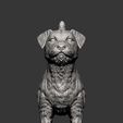 Jack-Russell-Terrier11.jpg Jack Russell Terrier Longhair 3D print model
