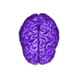 Brain.stl Human Brain