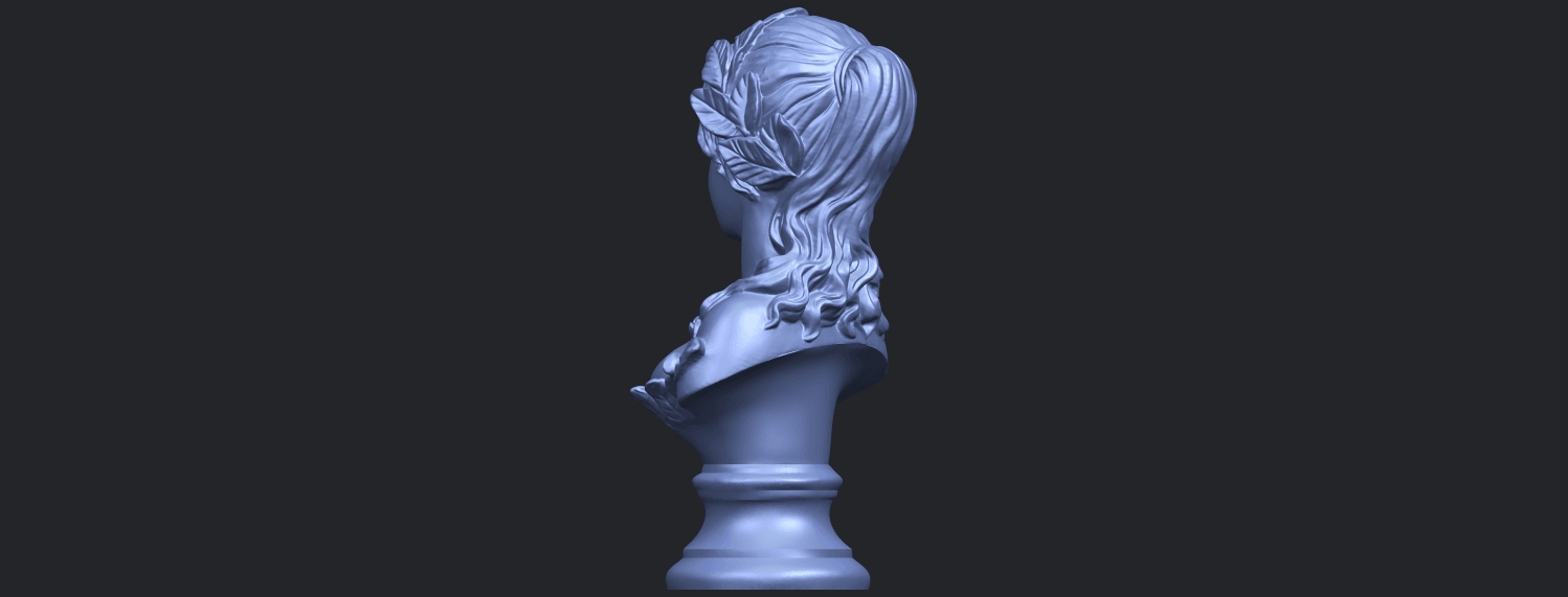 12_Bust_of_Venus_80mmB05.png Free 3D file Bust of Venus・3D print model to download, GeorgesNikkei