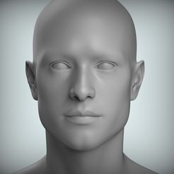 300.80.jpg Archivo STL 8 Male Head Sculpt 01 Modelo 3D Low-poly Modelo 3D・Objeto imprimible en 3D para descargar