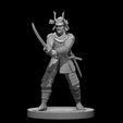 ef28122c-d79e-4995-88f0-607656c1b5f2.jpg Samurai minis