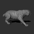 3.jpg Descargar archivo OBJ Ataque del tigre • Plan de la impresora 3D, guninnik81