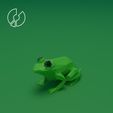 Lowpoly_Frog.jpg Low Poly Frog