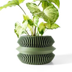 DSC02961.jpg The Uldol Planter Pot with Drainage Tray & Stand: Modern and Unique Home Decor for Plants and Succulents  | STL File