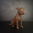 jackrussel7.png Jack Russell Low Poly