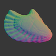 oyster-shell-vol.-11-image-9.png Oyster Shell (Volume 11)