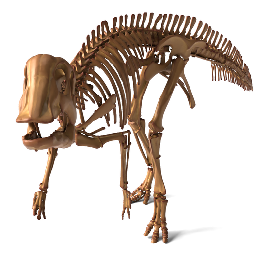 Hypacrosaurus Skeleton – Detailed Hadrosaur Dinosaur Model (STL for 3D Print)