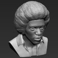 18.jpg Jimi Hendrix bust 3D printing ready stl obj