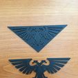 IMG_2263.jpg Aquila Imperialis