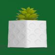 cover_image_krayfox.jpg Plantr