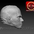 Anakin-EE5.jpg Darth  Vader - Hot Toys Head sculpt 1-6th scale - Anakin Free 3D print model