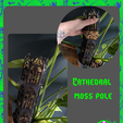 Moss-Pole.png Gothic Planter Kollektion