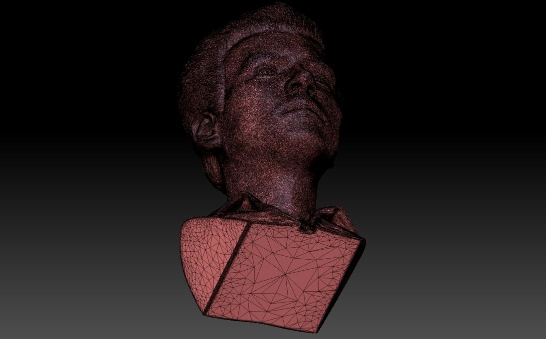 30.jpg Télécharger fichier Impression 3D du buste d'Harry Styles aux formats stl obj prêts à l'emploi • Design pour impression 3D, PrintedReality