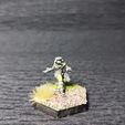 IMG_20241030_170001.jpg Seren american Proto