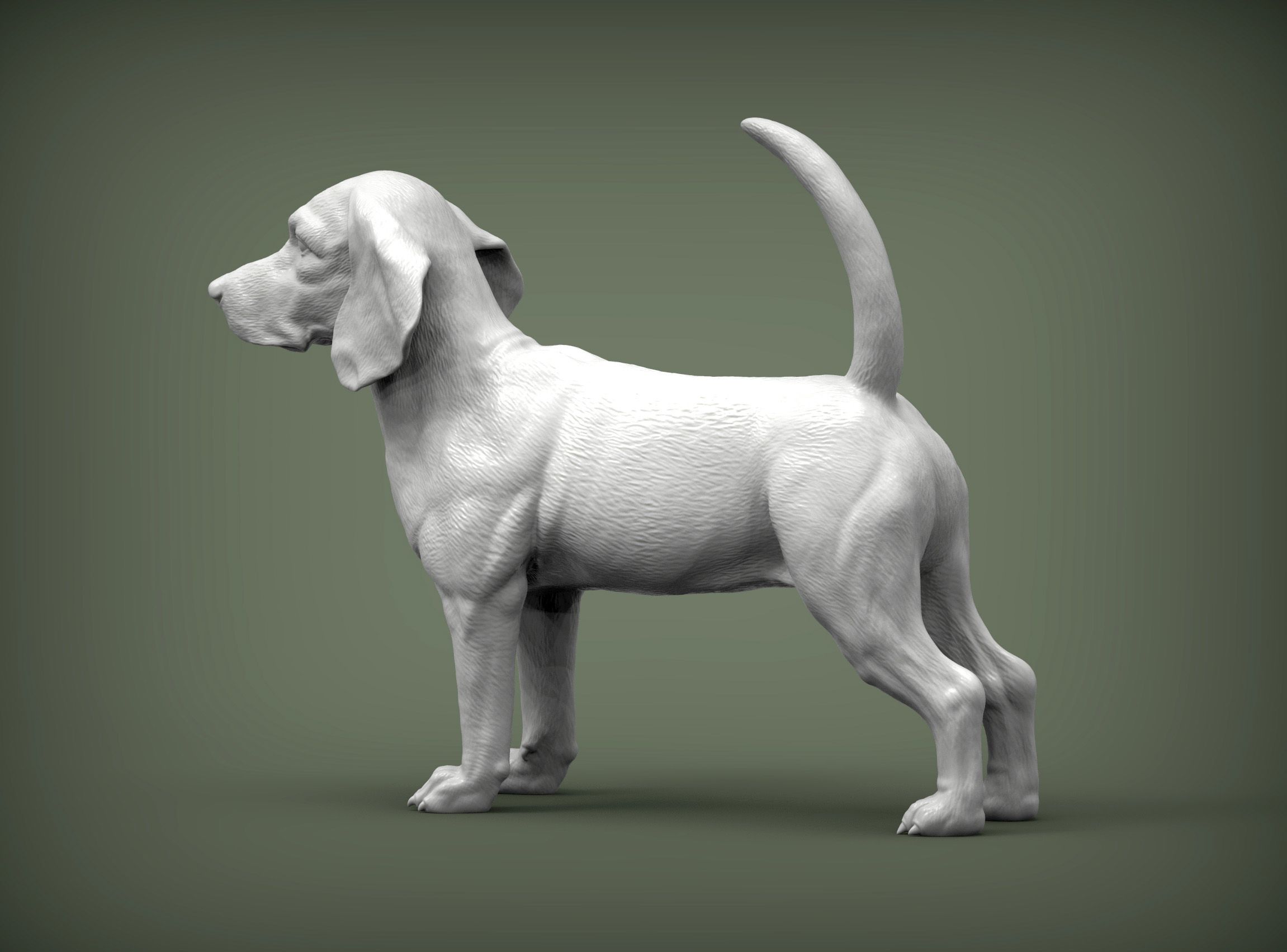 beagle5.jpg Archivo 3D Modelo de impresión 3D de Beagle・Objeto imprimible en 3D para descargar, akuzmenko