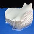 28872658_1595833470453761_2556070067326418944_n.jpg STL file T-rex Tyrannosaurus・3D printing design to download