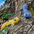 20230412_152833.jpg CUTE FLEXI PRINT-IN-PLACE GECKO, ARTICULATED TOY