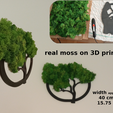 ef2f763d-3520-4134-b01c-60f71c329e5c.png Tree with moss for wall