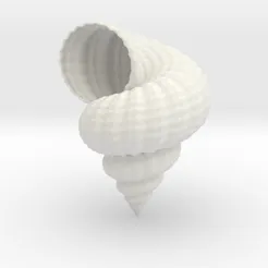 shell.webp Fichier STL Shell・Objet pour impression 3D à télécharger