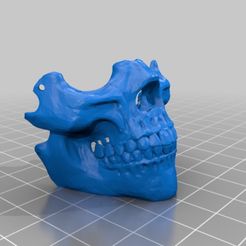 Immagine-2021-09-25-154611.jpg Half mask skull