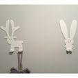 20160127_190551.jpg Wall clothes hangers - Bunny